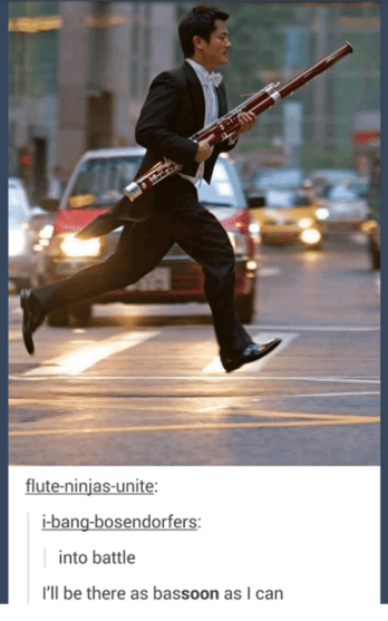 flute-ninjas-unite-i-bang-bosendorfers-nto-battle-ill-be-there-as-bassoon-as-2503619